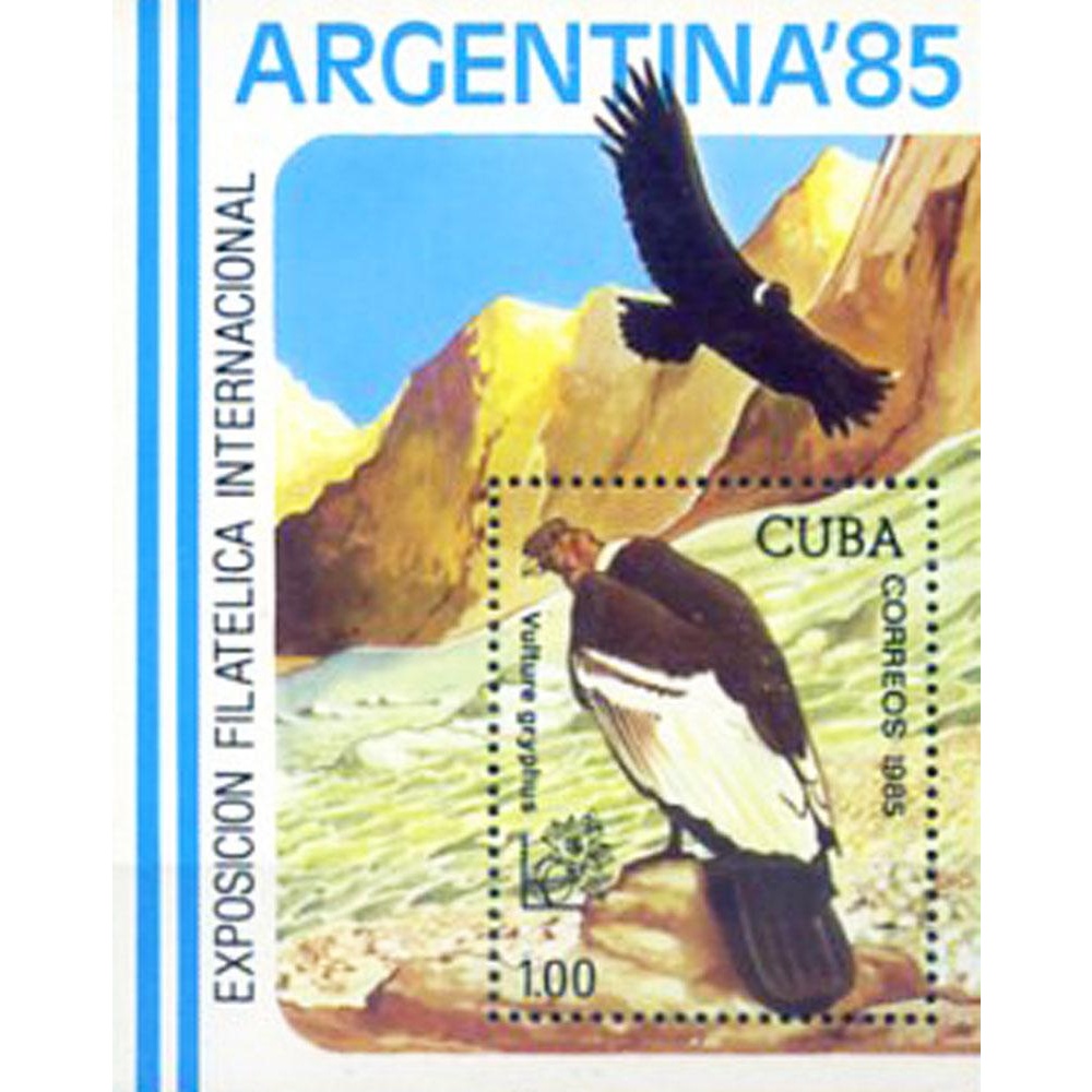 "Argentina '85".