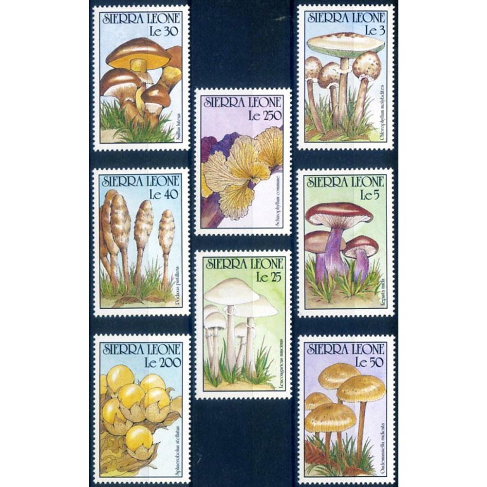 Flora. Funghi 1990.