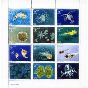 Fauna marina 1998.