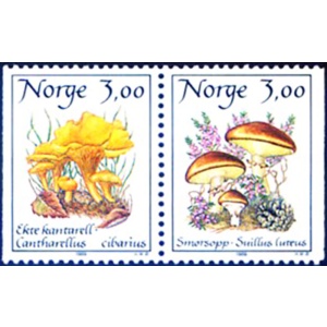 Flora. Funghi 1989.