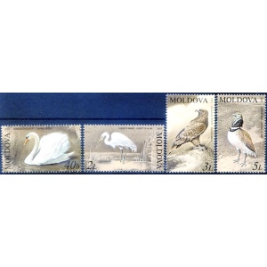 Fauna. Uccelli 2003.