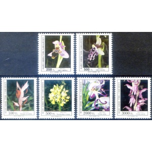 Flora. Orchidee 1991.