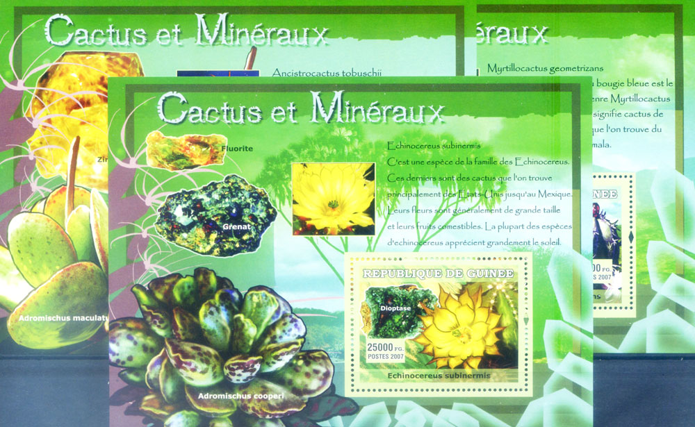 Minerali e cactus 2007.