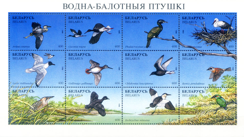 Fauna. Uccelli 1996.