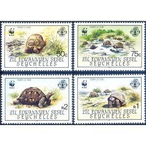 Isole remote. Fauna. Tartarughe 1987.