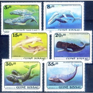 Fauna. Cetacei 1984.