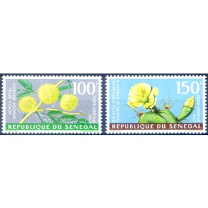 Flora. Fiori 1967.