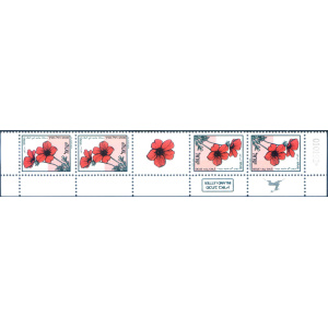 Flora. Anemone 1992.