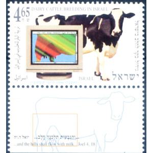 Allevamenti 1996.