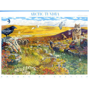 Tundra artica 2003.