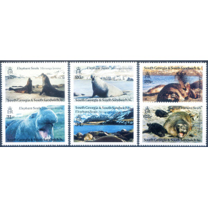 South Georgia. Fauna. Elefante di mare 1991.