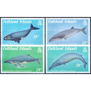 Fauna. Cetacei 1989.