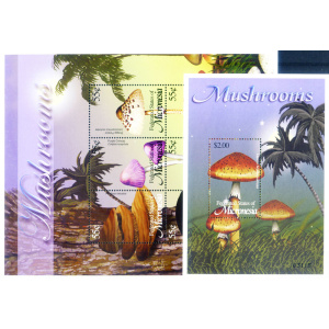 Funghi 2002.