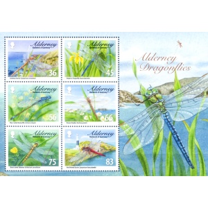 Alderney. Fauna. Libellule 2010.