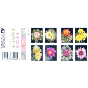 Flora. Fiori di cactus 2019. Minifoglio tipo libretto.