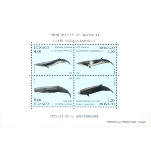 Fauna. Cetacei 1993.