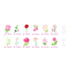 Flora. Fiori 1995. Libretto.