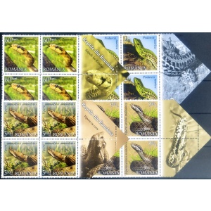 Fauna. Rettili 2011.
