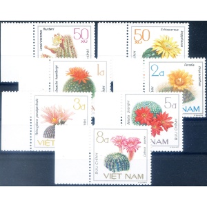 Flora. Cactus 1985.