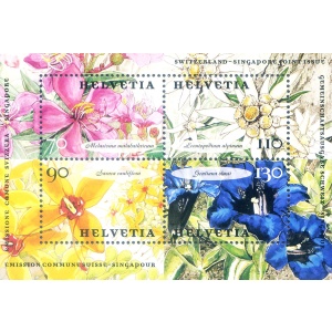 Fiori 2001.