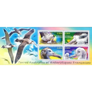 Fauna. Albatros 2010.