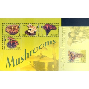 Funghi 2003.