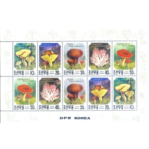 Funghi 1991.