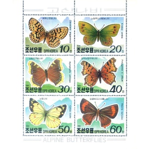 Fauna. Farfalle 1991.