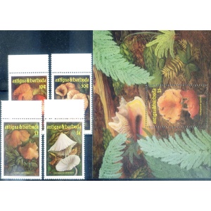 Funghi 1986.