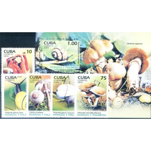 Funghi 2005.
