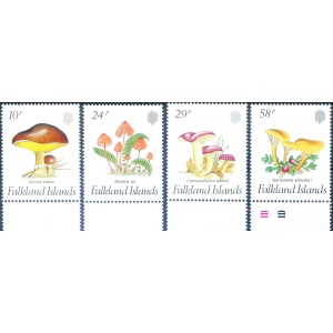 Funghi 1987.