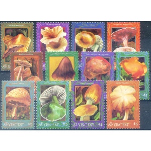 Funghi 1992.