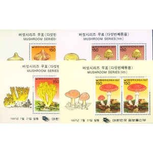 Funghi 1997.