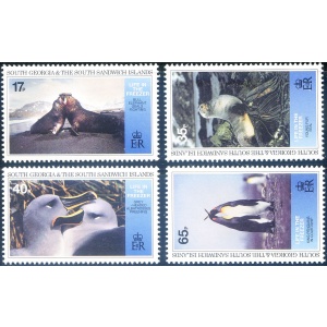 South Georgia. Fauna locale 1994.